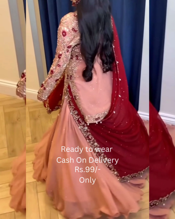5024-1.png Rose Blush Bridal Sharara with Crimson Contrast